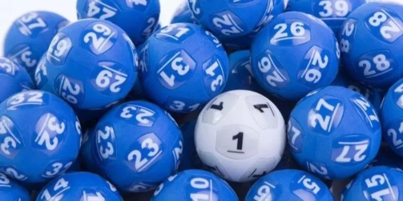 Bạch Thủ Lô Là Gì? Bí Quyết Đánh 1 Ăn Nhiều Cho Người Chơi